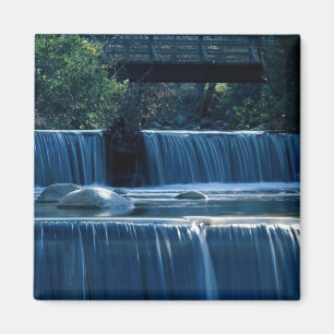 Lithia Park Island, Oregon Magnet