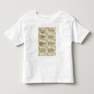 lithographed maps of United States Toddler T-Shirt