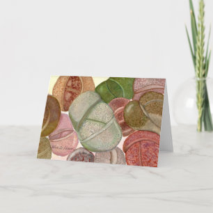 Lithops watercolor card by Debra Lee Baldwin