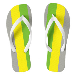 Lithromantic Pride Jandals