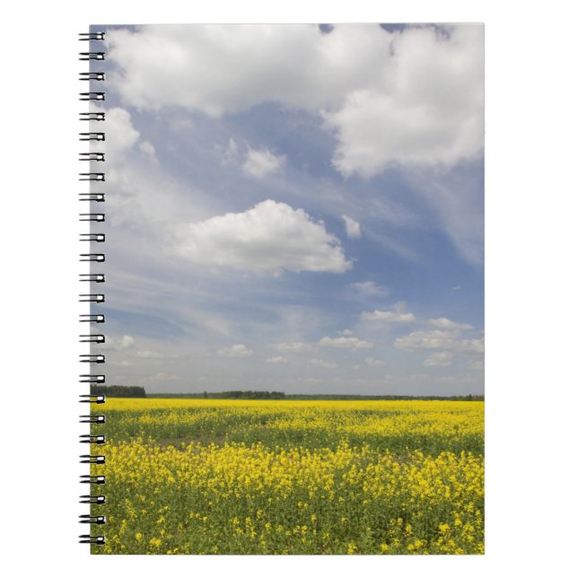 Lithuania, Central Lithuania, Joniskis, field of Spiral Notebook (Front)