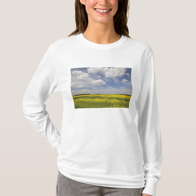 Lithuania, Central Lithuania, Joniskis, field of T-Shirt (Front)