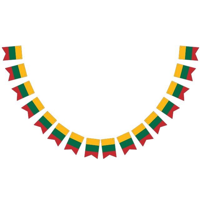 Lithuania Flag (All)