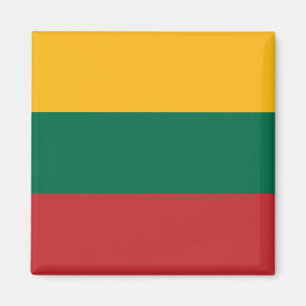 Lithuania (Lithuanian) Flag Magnet