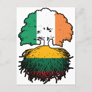 Lithuania Lithuanian Irish Ireland Tree Roots Flag Postcard