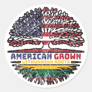 Lithuania Lithuanian US American USA United States Classic Round Sticker