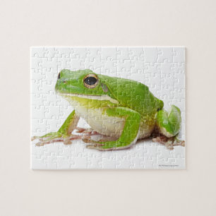 Litora Infrafrenata, Frog Jigsaw Puzzle