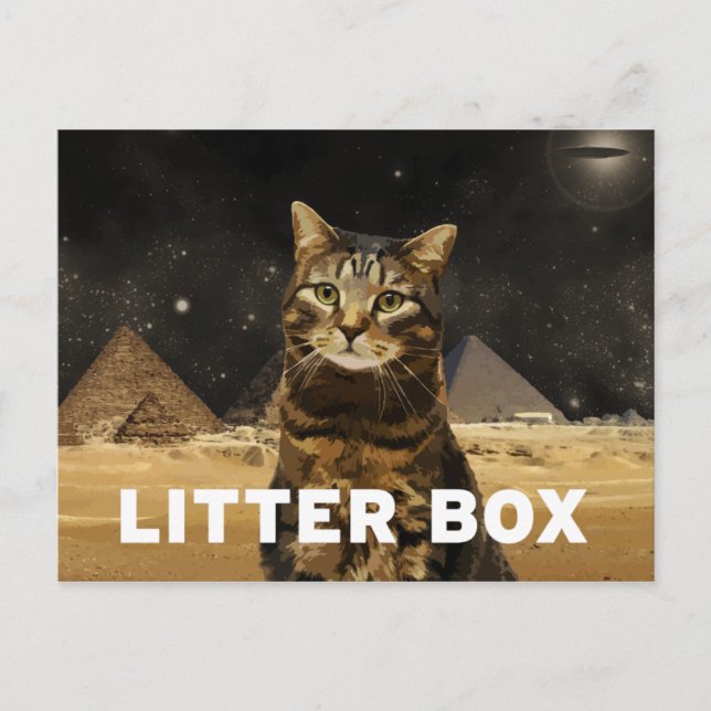 Litter Box Postcard (Front)