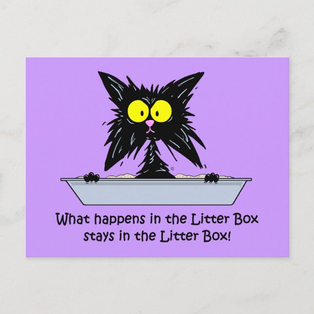 Litterbox Cat Postcard (Front)