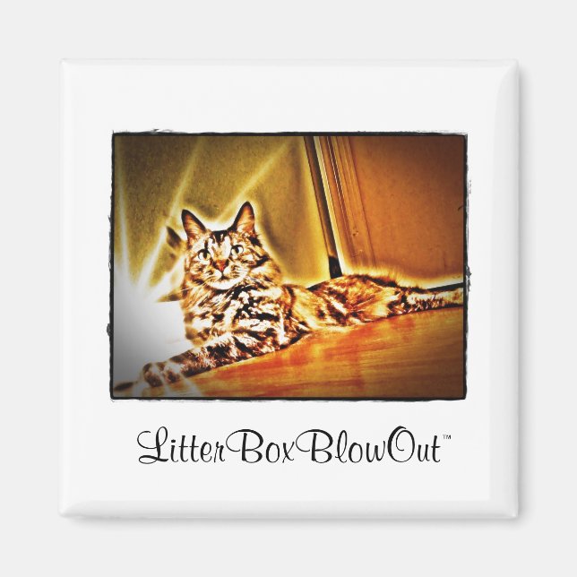 LitterBoxBlowOut Magnet (Front)