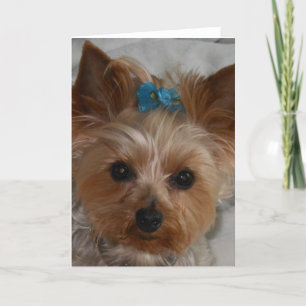 Little Ally Card