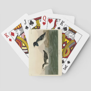 Little Auk (Dovekie) - Audubon's Birds of America Playing Cards