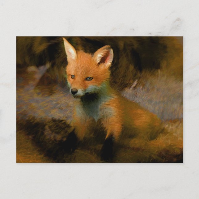 Little Baby Fox Cub Portrait Postcard (Front)