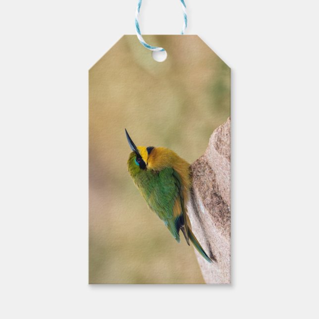 Little Bee-Eater Gift Tags (Front)