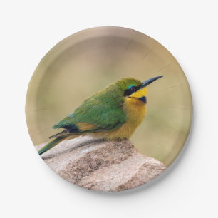 Little Bee-Eater Paper Plate