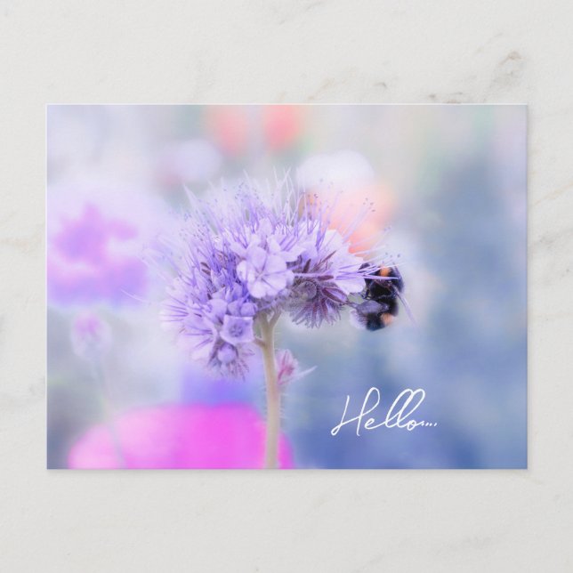 Little Bee  Postcard (Front)