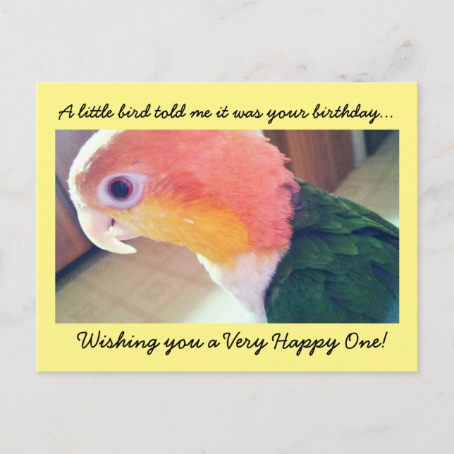 Little Bird Birthday Postcard (Front)