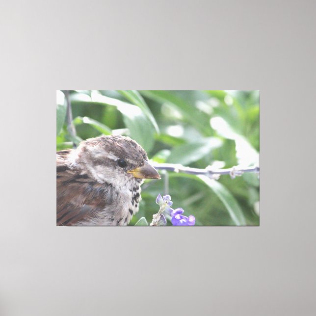 Little Bird Canvas Art (Front)