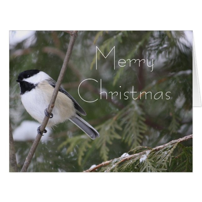 Little Bird Christmas Greeting (Front Horizontal)