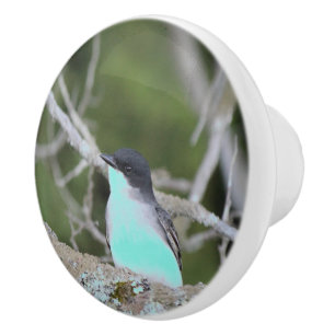 Little Bird In Blue and Greens Drawer Pull