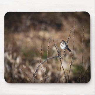 Little Bird Mouse Pad