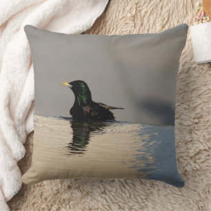 Little Bird on the Water Cushion