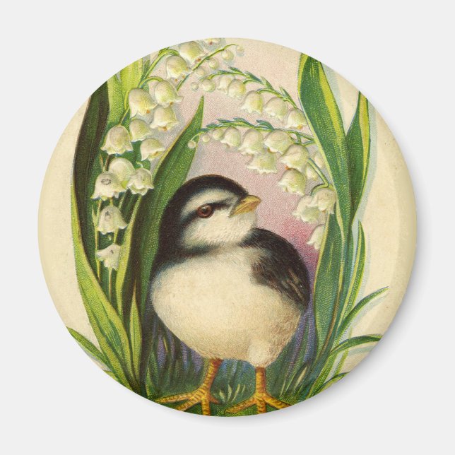 Little Bird Vintage Magnet (Front)