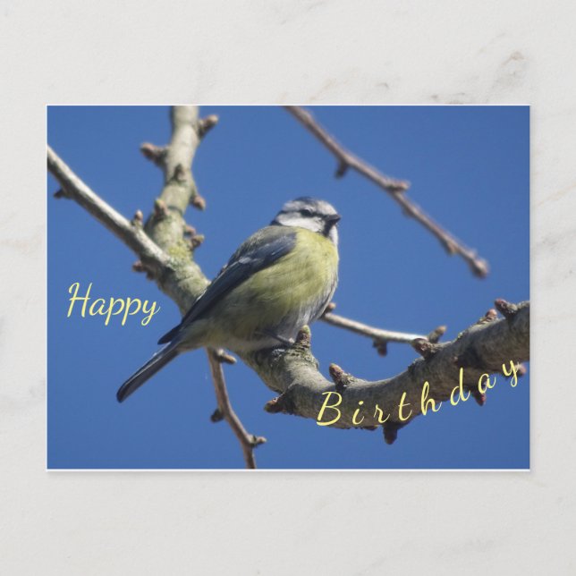 Little Bird with Blue Sky Happy Birthday Postcard (Front)