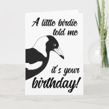 Little birdie birthday card