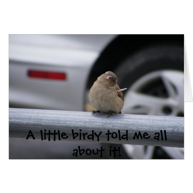 Little Birdy (Customisable!) (Front Horizontal)