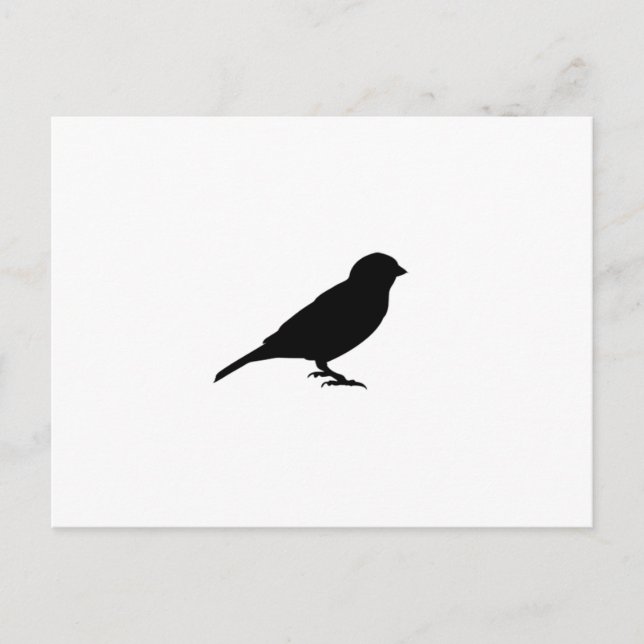 LITTLE BIRDY POSTCARD (Front)