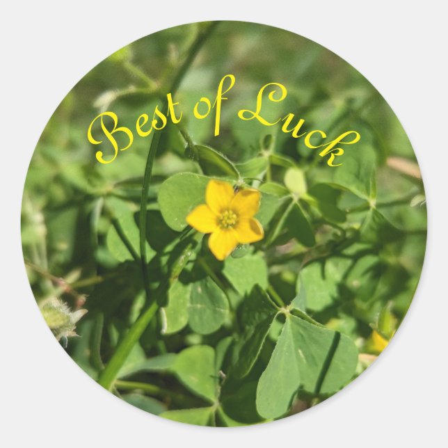 Little Bit of Luck Flower Classic Round Sticker (Front)