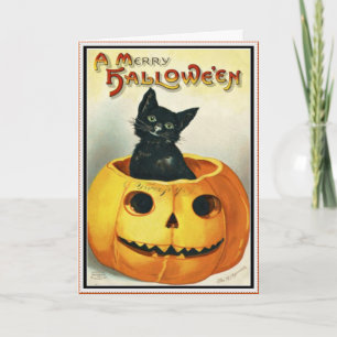 Little Black and Jack O' Lantern Halloween Card