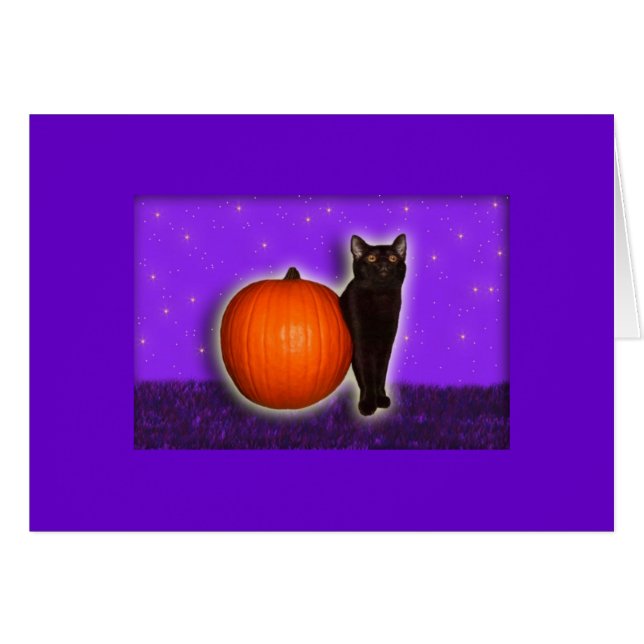 Little Black and Pumpkin (Front Horizontal)