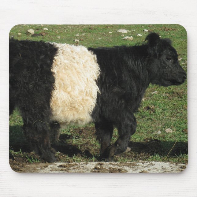 Little Black Beltie Calf Mouse Pad (Front)