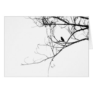 Little Black Bird Card