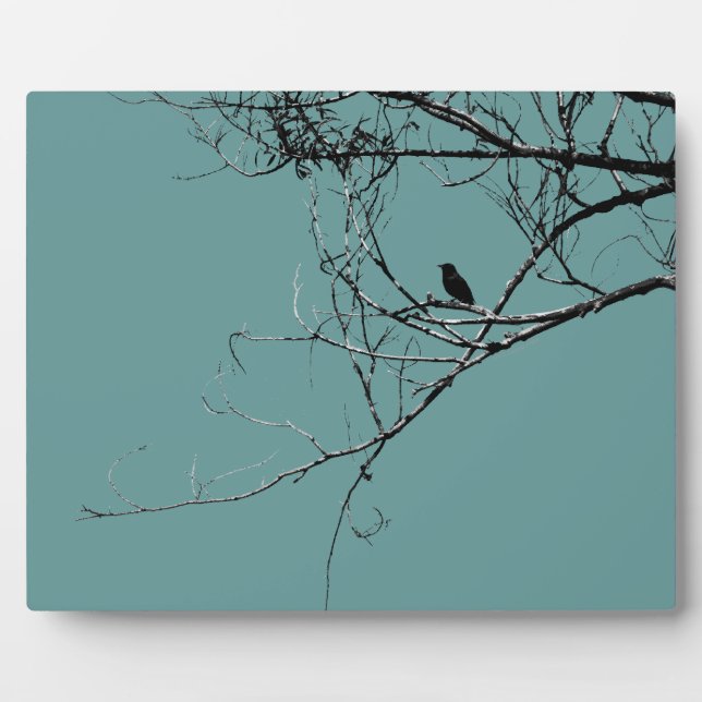 Little Black Bird Plaque (Front)