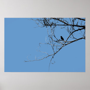 Little Black Bird Poster