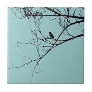 Little Black Bird Tile