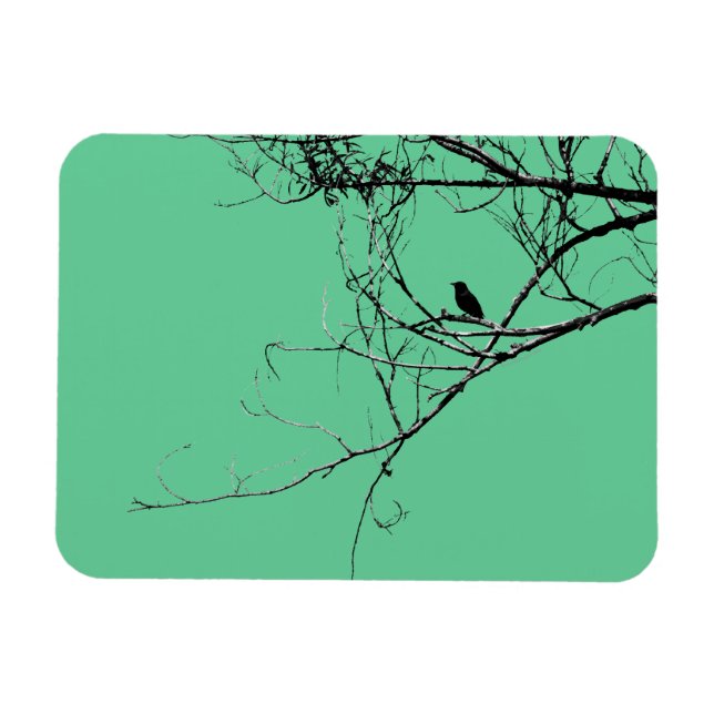 Little Black Bird Vinyl Magnet (Horizontal)