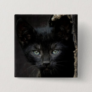Little Black Kitty 15 Cm Square Badge