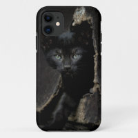 Little Black Kitty