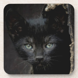 Little Black Kitty Coaster