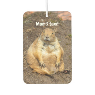 Little Black-Tailed Prairie Dog Car Air Freshener