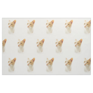 Little Blondie Cat Wondering Fabric