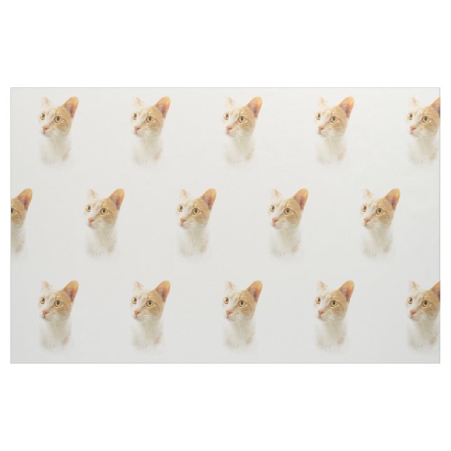 Little Blondie Cat Wondering Fabric (Fat Quarter)