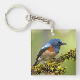 Little blue bird key ring