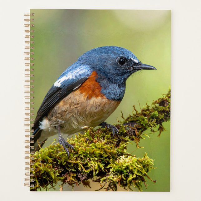 Little blue bird planner (Front)