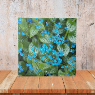 Little Blue Brunnera Flowers Floral Tile