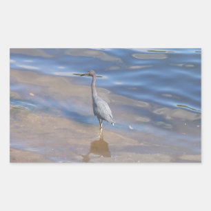 Little Blue Heron Rectangular Sticker
